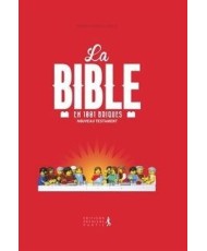 LA BIBLE EN 1001 BRIQUES